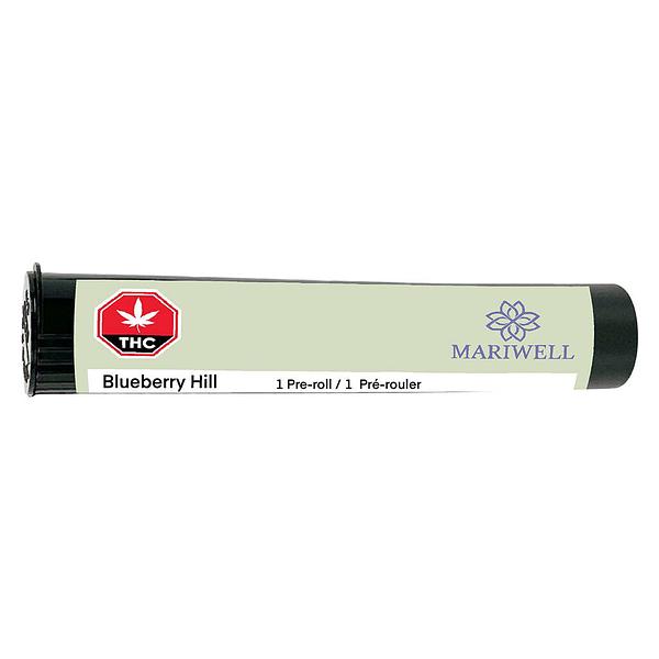 Mariwell - Blueberry Hill Pre Roll