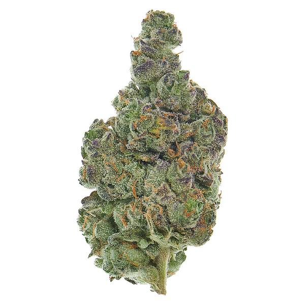 Lyoclean - Sublimed Flower