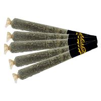 Caviar Gold - Baby Cavis Mixed Pack Infused Pre Roll
