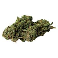 Bambu Select - Double Donny