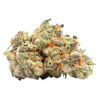 LaHoja - Purple Haze