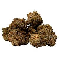 Space Race Cannabis - Houston's Problem