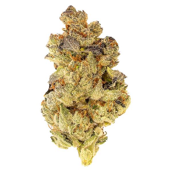 5 Points Cannabis - Mosa Orange Punch