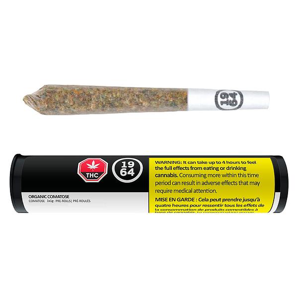 1964 - Organic Comatose Pre Roll