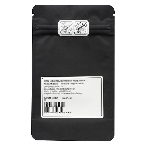 MSIKU - The Tenner Pre-Roll