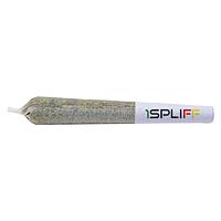 1Spliff - Caddy Mega Sampler Pack