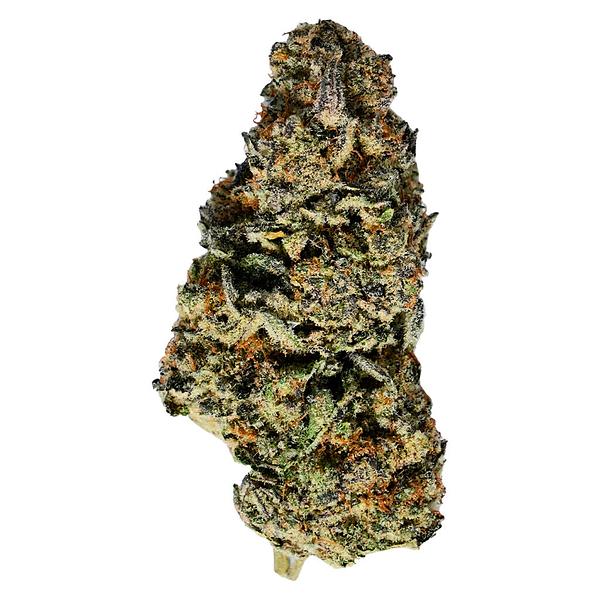 TADU - Mutant Rootbeer