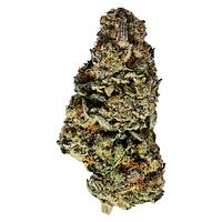 TADU - Mutant Rootbeer