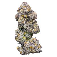 Castle Rock Farms - Gastropop