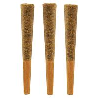 Noodz - Jungle Fire Pre-Roll