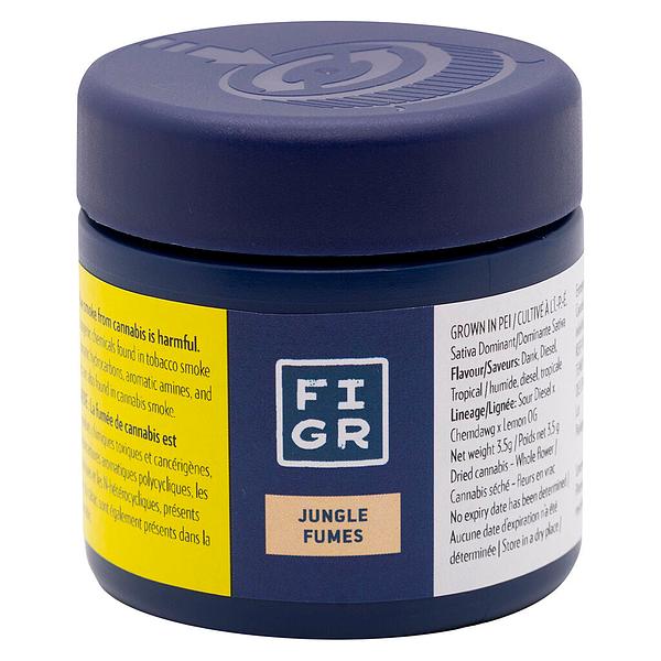 FIGR - Jungle Fumes