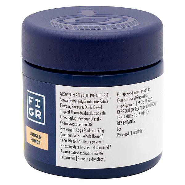 FIGR - Jungle Fumes