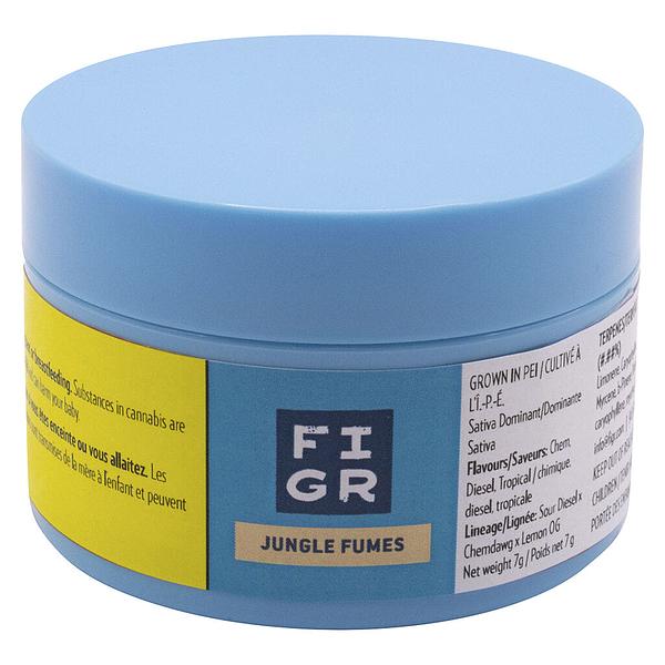 FIGR - Jungle Fumes