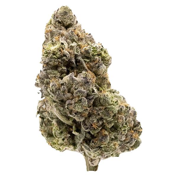 FIGR - Midnight Sherb