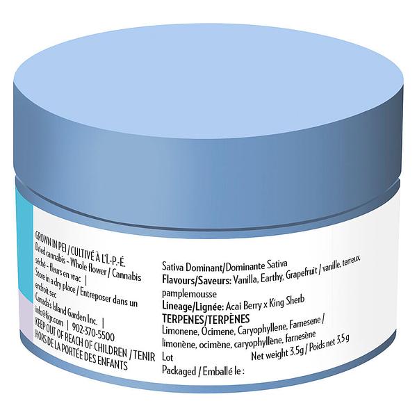 FIGR - Midnight Sherb