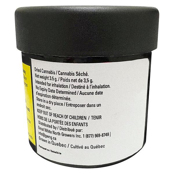 Clem & Co. - Mango Fuel