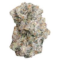 Space Bros - 6ix Pink