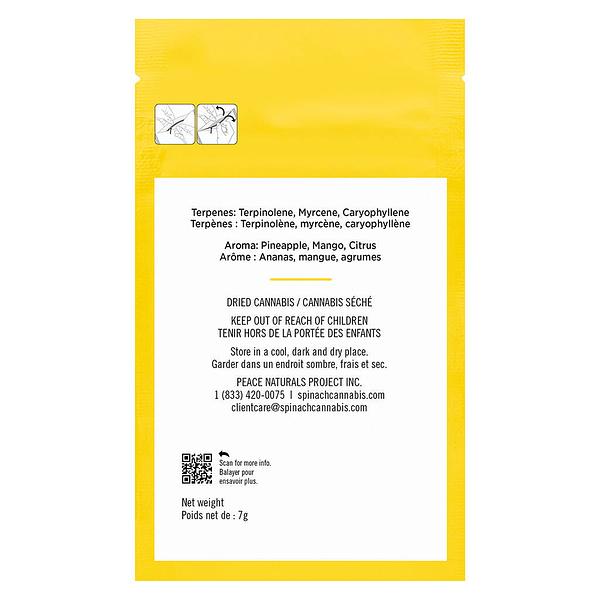 Spinach Grindz - Pineapple Gelato