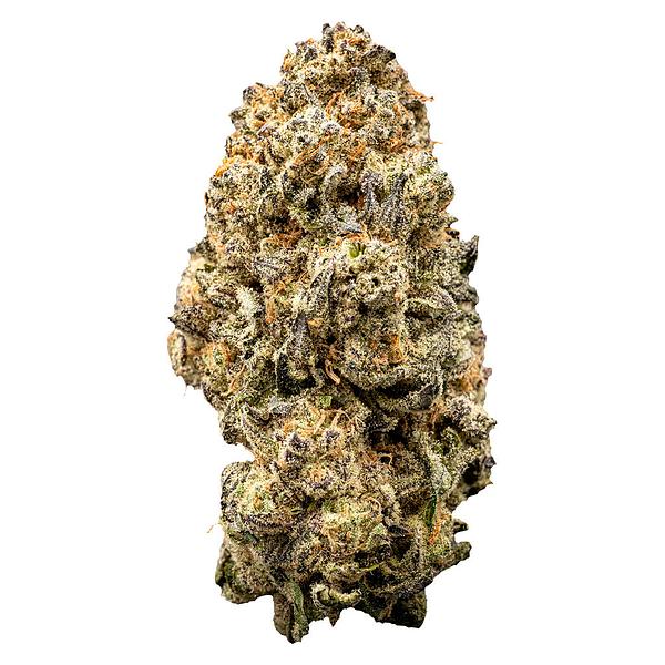 WAZA - Orange Slushie