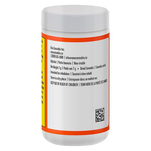 WAZA - Orange Slushie