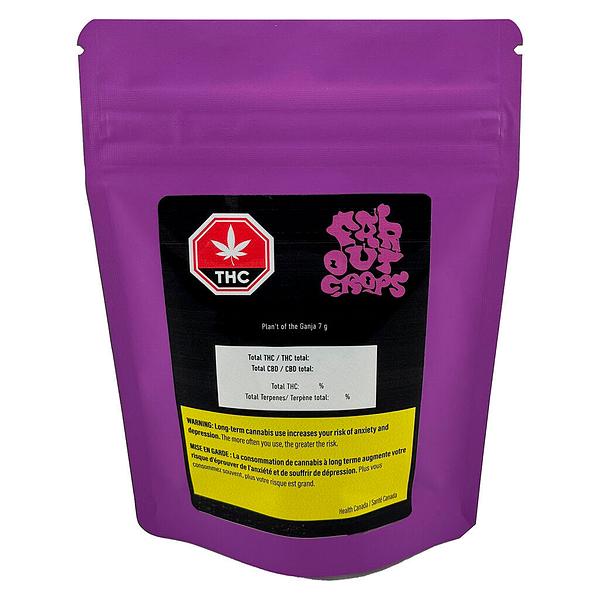 Far Out Crops - Plan't of the Ganja