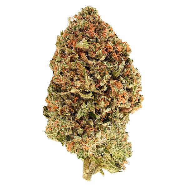 Simply Bare - BC Organic Tea Time #7