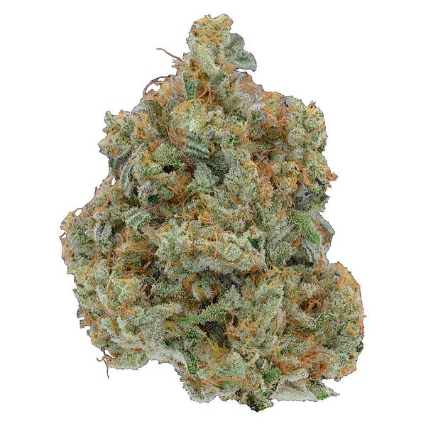 Be Humble. - Omakase image 1