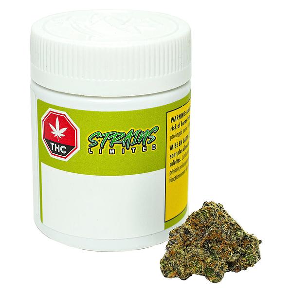 Strains Limited - Blue #22 (Breeder Cut) image 4